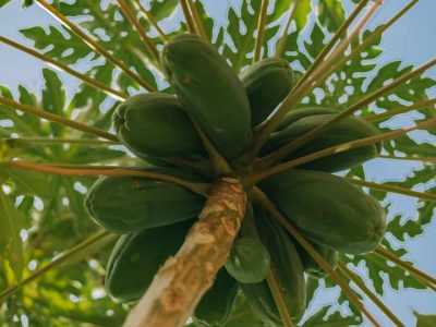 041b094e e362 465c 8ffe 0e8c0a6126f9