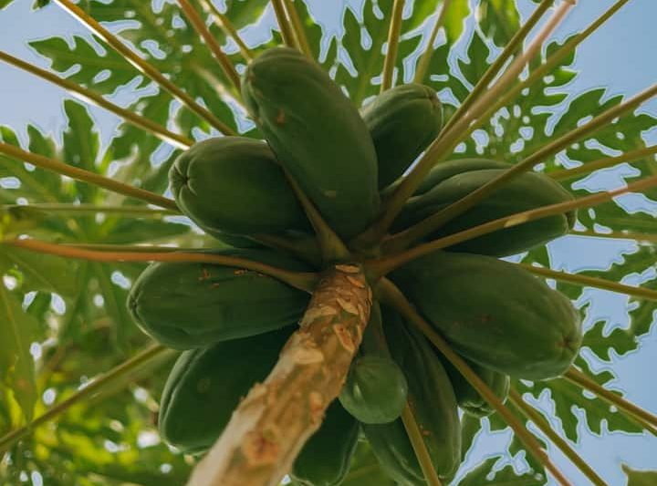 041b094e e362 465c 8ffe 0e8c0a6126f9