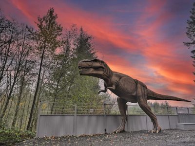 1533ad47 1710 4b3c b323 f4d7b149d0f2 1