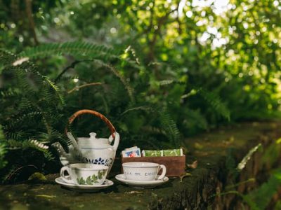 1b9a48f0 90ff 4c27 ae1a fd464bef65bf