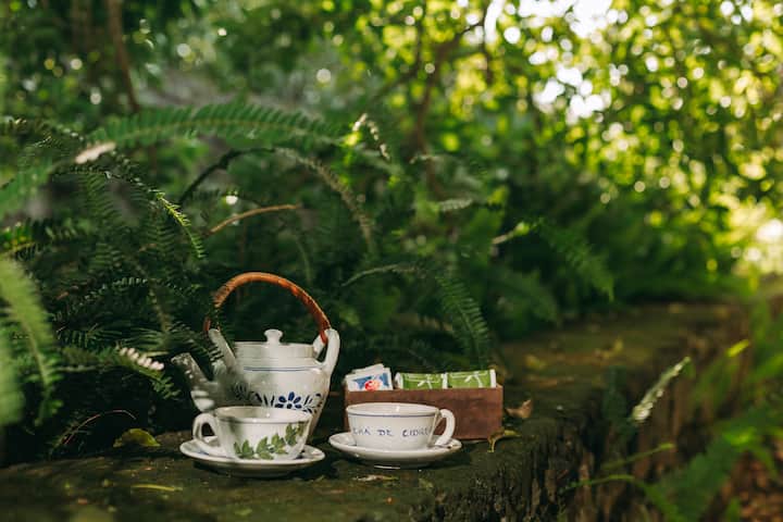 1b9a48f0 90ff 4c27 ae1a fd464bef65bf