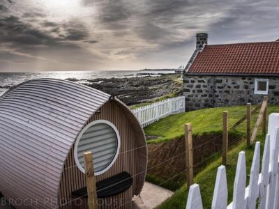 264879646 2