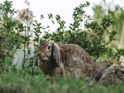 2c755187 d2cd 4a32 9a9f da38a58a20a8