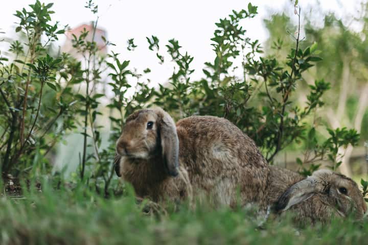 2c755187 d2cd 4a32 9a9f da38a58a20a8