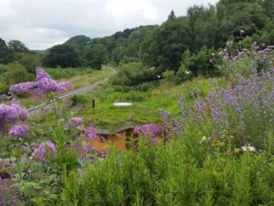 34165e2f 2d99 4248 9fc7 6b4b1b2a22ad 1