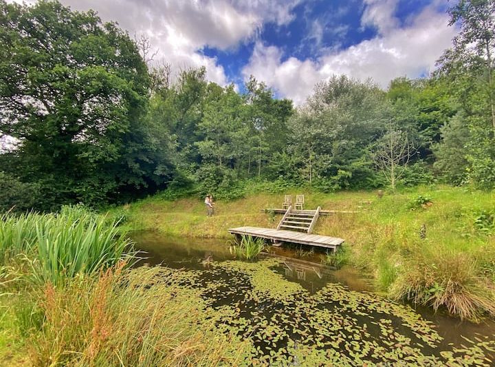 363df866 aa1a 440f 9b58 408223947135