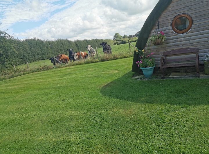 41b77c20 ad9e 4a3e 93b9 37669434affb