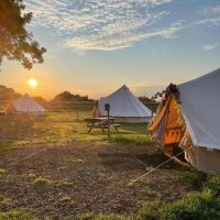 Willow Grove Farm Glamping, West Suffolk