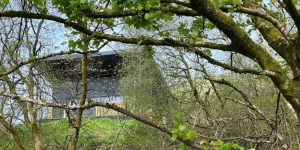 Luxury Lodge In The Treetops, Wales