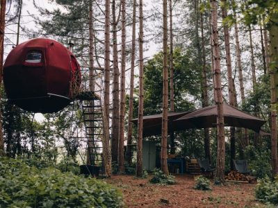 4ab9a964 d7a7 448f ac22 65cae717a74d 2