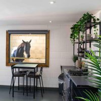 Sleep next to a Horse in a stable, Exeter