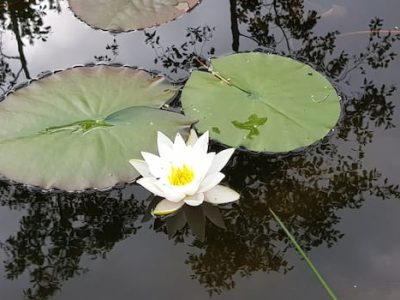 7668b133 7b86 44b5 9742 abf919a55926