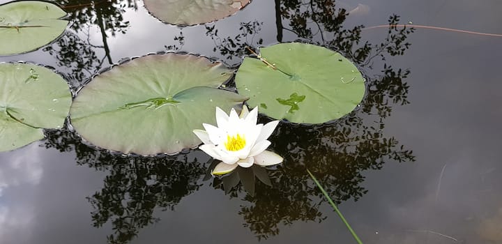 7668b133 7b86 44b5 9742 abf919a55926