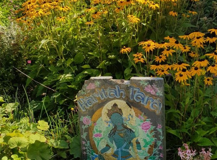 7af535b4 9ccf 4ea8 9c0a 8594c5dcc389