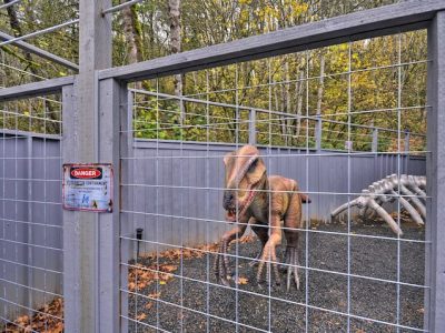 8917024f 723d 4cfc 8088 bf842e0f189f 1