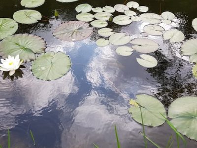 898692c8 5a45 40aa b1f6 f38d15fd5bb7