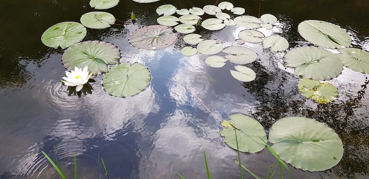 898692c8 5a45 40aa b1f6 f38d15fd5bb7