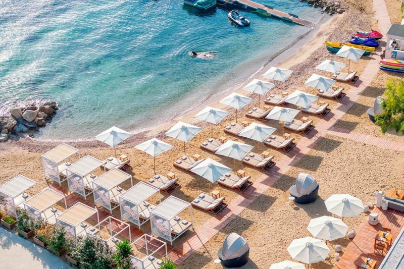 CFU 83393 Angsana Corfu 0224 06