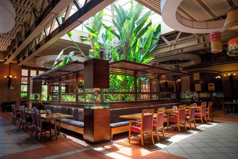 DLM 74618 Grand Yazici Club Turban 0523 06