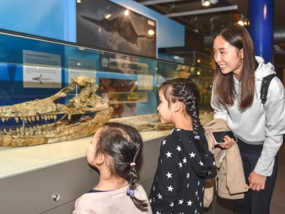 Ichthyosaur family thinktank 2021