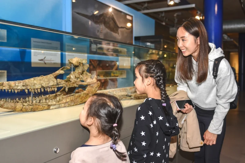 Ichthyosaur family thinktank 2021