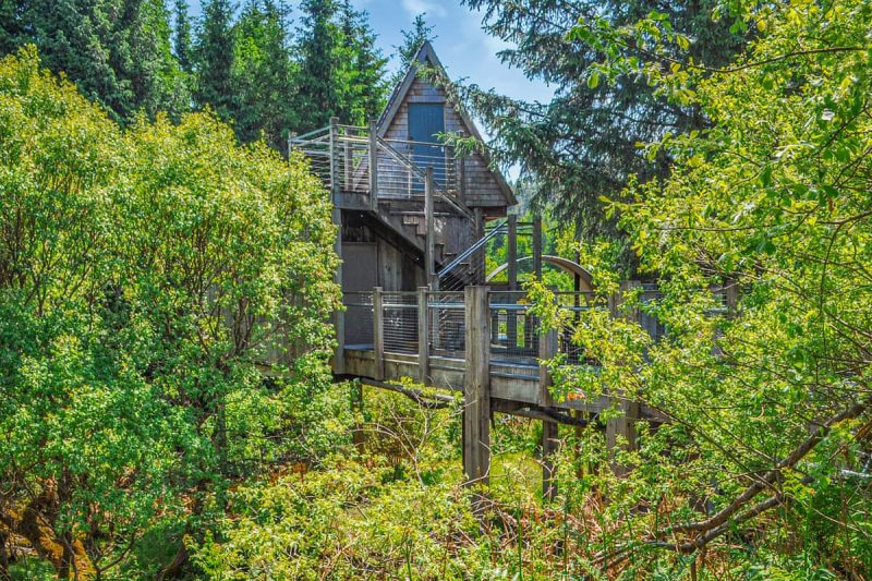 STRL LP24973 EX01A 23