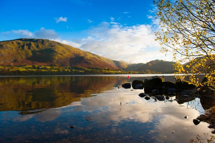 a5f008b6 ba3c 4ec2 a0a2 3a59809b2438