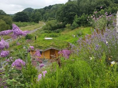 aad9f9fe 5556 4093 b02d a580ea776cf3 1