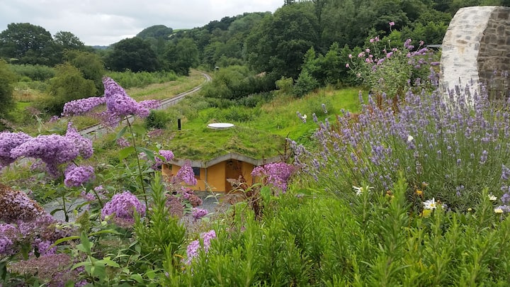 aad9f9fe 5556 4093 b02d a580ea776cf3 1