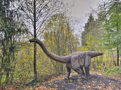 ac3673ed 027e 4ee7 9fa2 935e909a0ed6