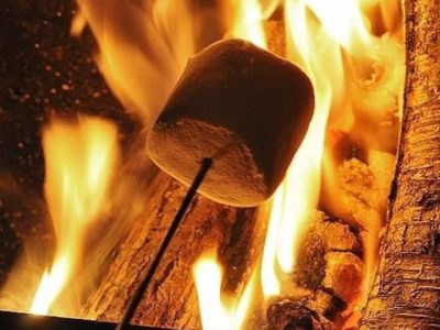 ad2b984a 0f9a 45e1 b64f cdb1ecacf2ba