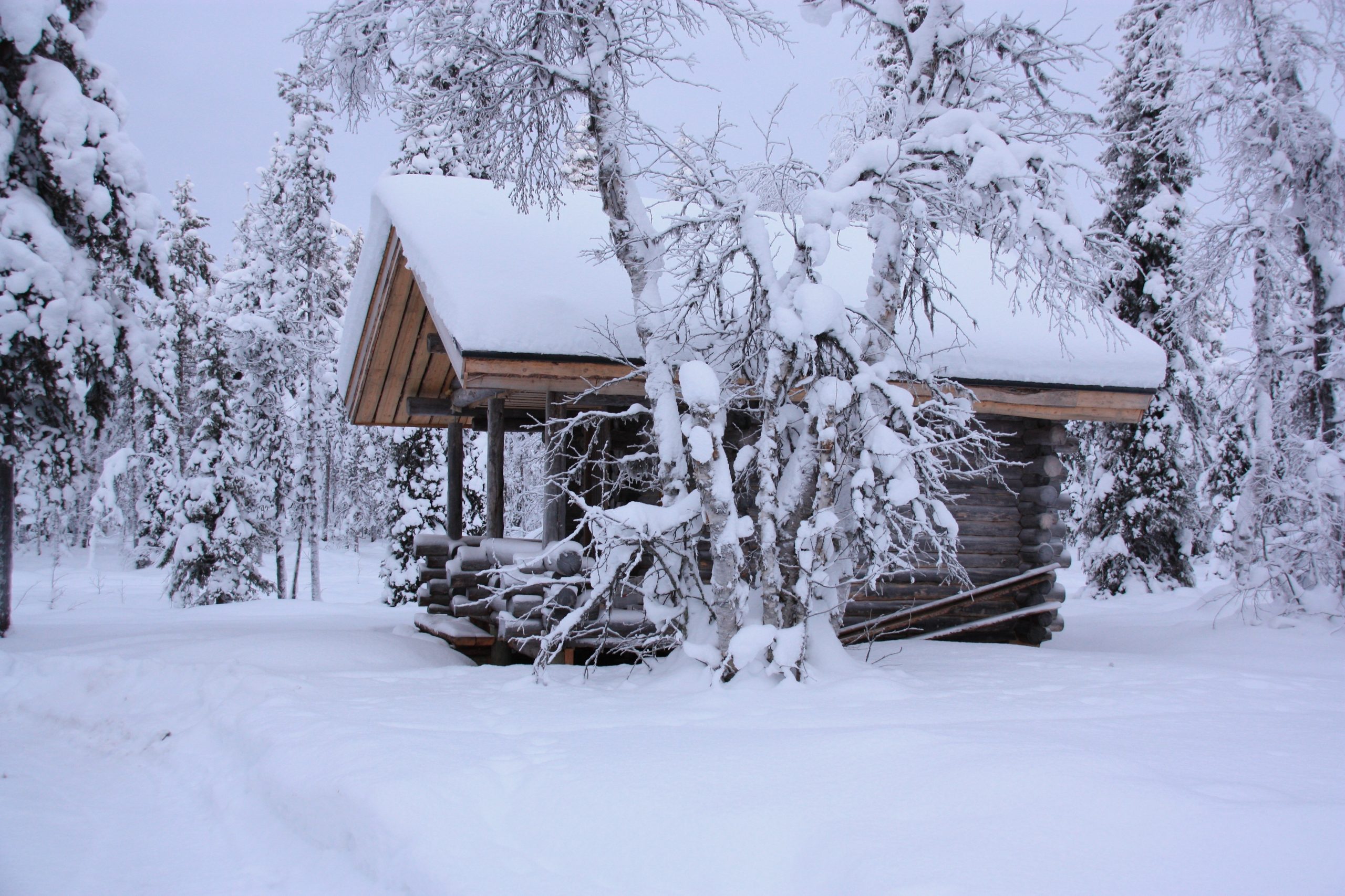 booking lapland