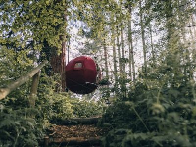 c4466b6a 6a81 4756 8bc1 7fb3ab414196 1