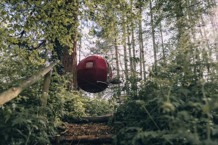 c4466b6a 6a81 4756 8bc1 7fb3ab414196 1