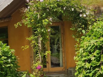 d4c8a852 98c7 4e21 974e ce9129d99da1