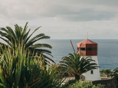 db17fce1 4ad0 45d8 8d7b ba5ccdfe770c 1