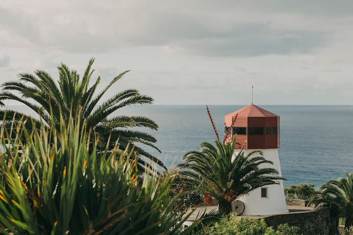 db17fce1 4ad0 45d8 8d7b ba5ccdfe770c 1