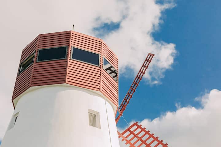 dc503084 2b58 4a25 93c6 5e94b48e6bcf 1