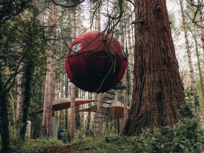 dd4044a8 bbef 4bd8 a117 533820af93f8 1