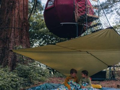 e44cdae8 c75a 4fb8 afa5 a5ab923d1166