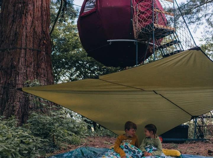 e44cdae8 c75a 4fb8 afa5 a5ab923d1166