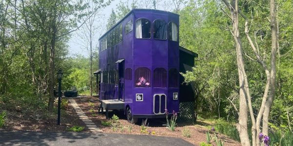 Book a Trip to the Wizard’s Trolley of the Forgotten Forest