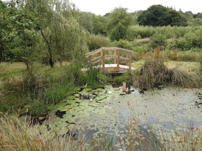 fbc72ed3 8912 41a5 b848 460afa3eb367 1