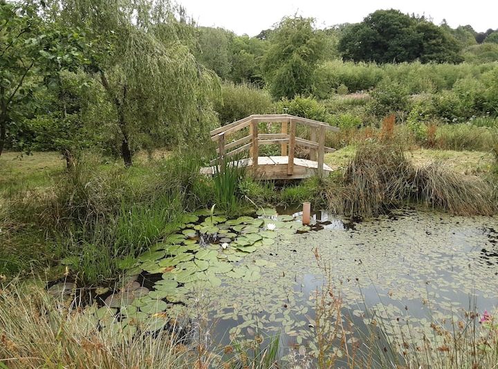 fbc72ed3 8912 41a5 b848 460afa3eb367 1