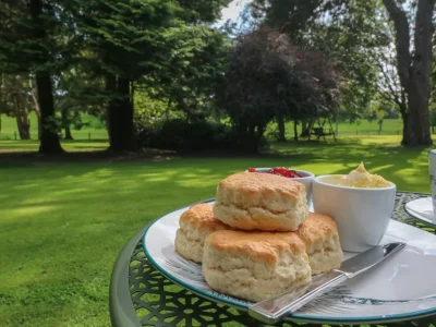 hero sc 1692777862 1139271 3