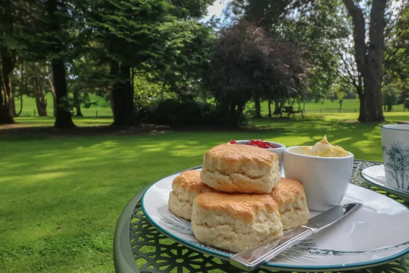 hero sc 1692777862 1139271 3