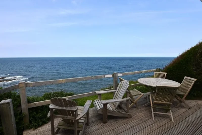 sc 1575467121 1035508 14